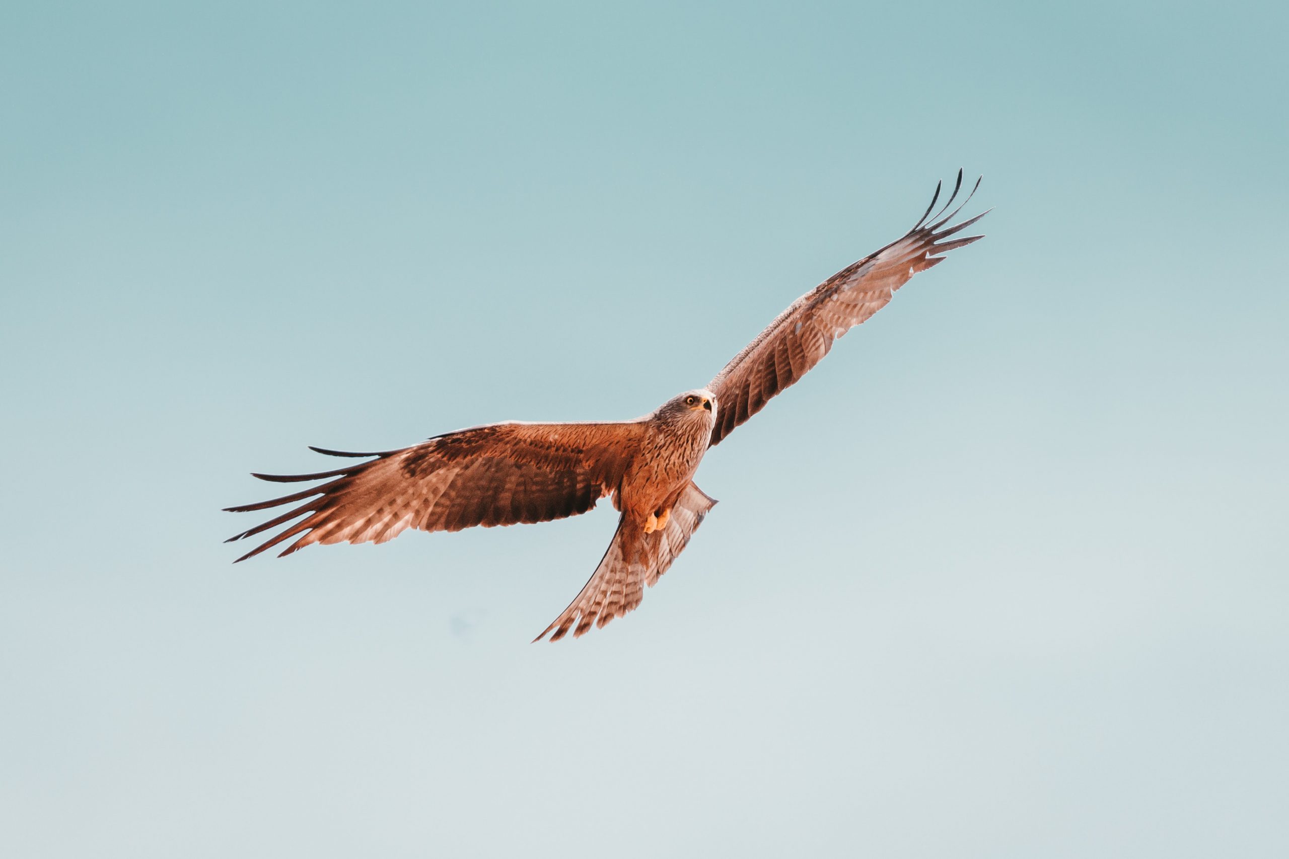 Photo by Martin Adams on Unsplash